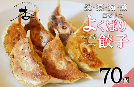 ふるさと納税 諫早市 焼・蒸・茹・煮 四変化のよくばり餃子 70個-