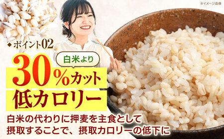 最速発送】押麦「長崎100年麦 御島裸」1kg×20袋 計20kg / 押麦 最速発送】押麦「長崎100年麦 御島裸」1kg×20袋 計20kg / 押麦