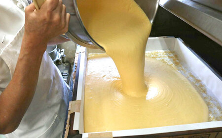 【年内配送】(12/23入金分まで)特選手焼き長崎カステラ1斤 / かすてら 卵 人気 長崎 おやつ / 諫早市 / 橋本屋本舗 [AHCP005]