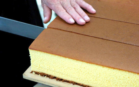 【年内配送】(12/23入金分まで)特選手焼き長崎カステラ1斤 / かすてら 卵 人気 長崎 おやつ / 諫早市 / 橋本屋本舗 [AHCP005]