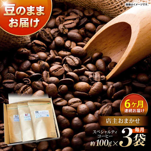 【6回定期便】自家焙煎スペシャルティコーヒーおまかせセット(豆のまま) / スペシャルティコーヒー ブレンド コーヒー / 諫早市 / R and R coffee labo [AHCJ020]