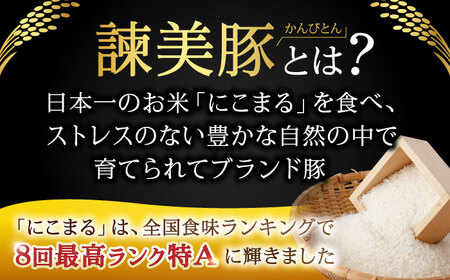 諫美豚 ロースステーキ100g×8 / 豚肉 ぶたにく ロースステーキ ろーすすてーき ロース ろーす / 諫早市 / 株式会社土井農場 [AHAD045]