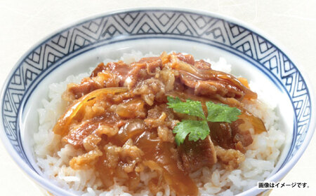 【小分け】日本ハム 牛丼の具10パックセット(1パック2袋入)計20食分/ 牛肉 牛丼 牛どん レトルト レトルト牛丼 小分け / 諫早市 / 日本ハムマーケティング株式会社 [AHAL010]