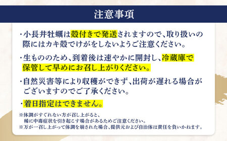 小長井牡蠣（殻付き）3kg 牡蠣ナイフ付き / かき カキ 牡蠣 海鮮 / 諫早湾漁業協同組合 [AHBJ005]