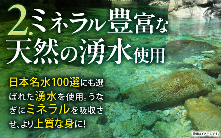 【最速発送】＜諫早淡水＞うなぎ蒲焼4尾 / うなぎ ウナギ 鰻 蒲焼き 蒲焼 かばやき うな重 ひつまぶし うな重 うな丼 冷凍 / 諫早市 / 活うなぎ問屋 諫早淡水 [AHAT007] スピード 最短 最速 発送