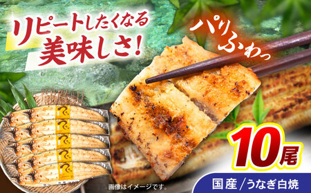 ＜諫早淡水＞うなぎ白焼き 10尾 / うなぎ ウナギ 鰻 白焼き 白焼 しらやき 国産 冷凍 小分け / 諫早市 / 諫早淡水株式会社 [AHAT010]