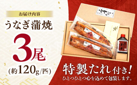 『北御門』うなぎ蒲焼3尾入り / 国産 うなぎ ウナギ 鰻 蒲焼 かばやき うな重 うな丼 ひつまぶし 冷凍 / 諫早市 / 諫早観光物産　コンベンション協会 [AHAB039]