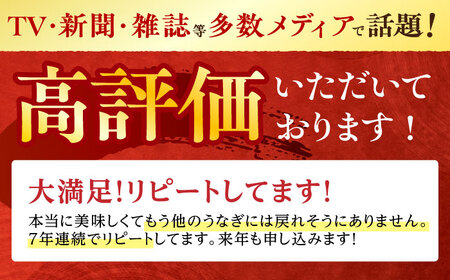 【2回定期便】北御門うなぎ蒲焼3尾入 / 特上 うなぎ 鰻 蒲焼 ウナギ / 諫早市 / 諫早観光物産　コンベンション協会 [AHAB015]