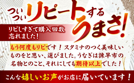 【年内配送可】【最速発送】＜諫早淡水＞特大うなぎ蒲焼2尾 / うなぎ ウナギ 鰻 特大 蒲焼き 蒲焼 国産 冷凍 うな重 うな丼 ひつまぶし / 諫早市 / 活うなぎ問屋 諫早淡水 [AHAT014] スピード 最短 最速 発送