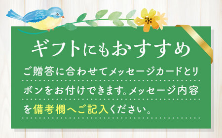 4回定期便】おまかせ 季節の 寄せ植え プランター / 観葉植物 鉢植え