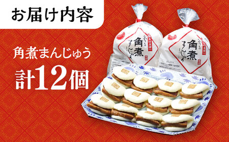 長崎角煮まんじゅう 12個 角煮まん 中華まん 惣菜 おやつ ACAH006 岩崎本舗