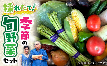 農家自慢 季節の野菜 セット 野菜 詰め合わせ 果物  / 季節 旬 春野菜 夏野菜 秋野菜 / 大村市 / 産直松吉[ACZC001]