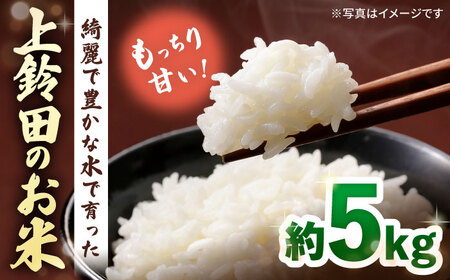 【R7年産】上鈴田のお米 5kg / 白米 米 長崎県産 / 大村市 / 鈴田峠農園[ACAJ008]