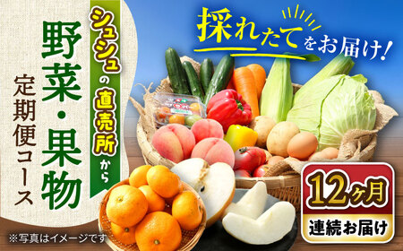 【12回定期便】野菜果物定期便コース / 野菜 フルーツ 果物 定期便 旬 / 大村市 / おおむら夢ファームシュシュ[ACAA092]