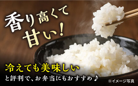 長崎県産 ヒノヒカリ 約10kg(5kg×2袋) / 米 おこめ お米 白米 ひのひかり / 大村市 / かとりストアー[ACAN009]