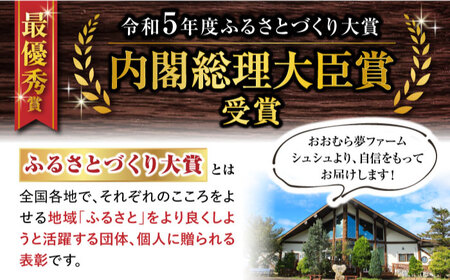 【12回定期便】シュシュまるごと堪能コース（ ジュース ハンバーグ ハムセット ジェラート プリン ジュレ 長崎和牛 豚肉 ）/ じゅーす はんばーぐ ロースハム ハム  ウインナー ソーセージ フランク じぇらーと じゅれ ロース ろーす 定期便 / 大村市 おおむら夢ファームシュシュ[ACAA098]