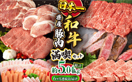 【6回定期便】偶数月配送 長崎和牛・豚肉 お楽しみコース 牛肉 1.64kg 豚肉 3.4kg 総量 5.04kg / 和牛 牛肉 とんかつ しゃぶしゃぶ サーロイン / 大村市 / おおむら夢ファームシュシュ[ACAA090]