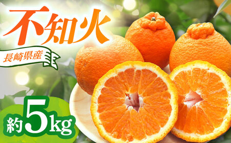 【2026年4月中旬発送開始】長崎県産 不知火 約5kg / 不知火 果物 フルーツ 柑橘 デコポン でこぽん 家庭用 柑橘 みかん 産地直送 旬 / 大村市 / かとりストアー[ACAN005]