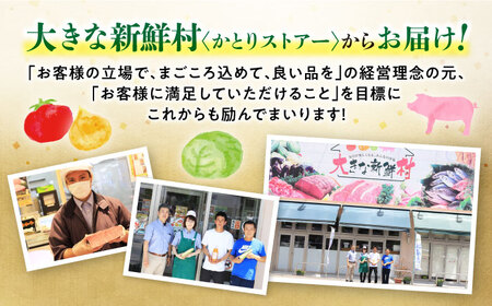 長崎和牛 サーロインステーキ 400g（200g×2枚）/ 牛肉 和牛 黒毛和牛 ロース 霜降 / 大村市 かとりストアー[ACAN049]