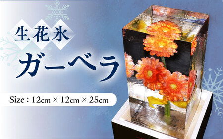 生花氷 ガーベラ (12cm×12cm×25cm) 約4kg 氷 花 インテリア プレゼント ギフト  大村市 大村製氷[ACZN003]