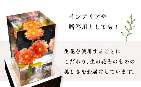 生花氷 ガーベラ (12cm×12cm×25cm) 約4kg 氷 花 インテリア プレゼント ギフト  大村市 大村製氷[ACZN003]