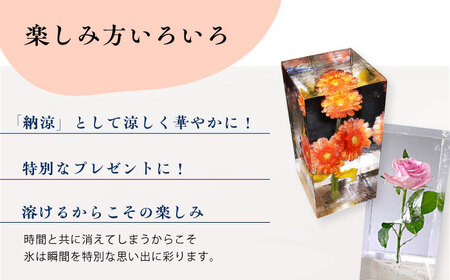 生花氷 ガーベラ (12cm×12cm×25cm) 約4kg 氷 花 インテリア プレゼント ギフト  大村市 大村製氷[ACZN003]