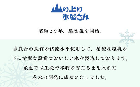 生花氷 ガーベラ (12cm×12cm×25cm) 約4kg 氷 花 インテリア プレゼント ギフト  大村市 大村製氷[ACZN003]