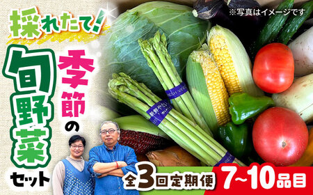 【全3回定期便】 農家自慢 季節の野菜セット（7～10品目） / 詰め合わせ 野菜 やさい 野菜セット 野菜詰め合わせ 旬 春野菜 夏野菜 秋野菜 野菜定期便 / 大村市 / 産直松吉[ACZC004]