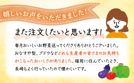 【全3回定期便】 農家自慢 季節の野菜セット（7～10品目） / 詰め合わせ 野菜 やさい 野菜セット 野菜詰め合わせ 旬 春野菜 夏野菜 秋野菜 野菜定期便 / 大村市 / 産直松吉[ACZC004]