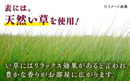 畳屋さんが作った！天然い草コンパクト1800（おむらんちゃん縁）/ 畳 おしゃれ畳 新生活 一人暮らし / 大村市 / 株式会社勝手[ACZJ003]