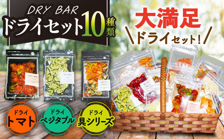 DRY BAR ドライバー Bセット 10種類 乾燥野菜 / ドライフルーツ お菓子 菓子 間食 おやつ / 大村市 / ファームいまみっちゃん[ACYL002]