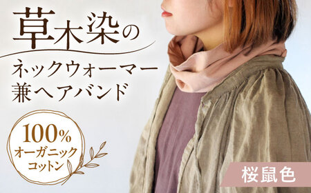 irodori ネックウォーマー兼ヘアバンド 桜鼠色（さくらねず） / 防寒具 防寒対策 綿 100% ギフト 贈答 プレゼント / 大村市 / いすといすと〜天然染料染物店〜ISTIST[ACZW004]