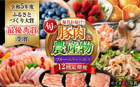 【12回定期便】豚肉＆旬の農産物 ブルーベリーコース（ 豚肉 いちご ハムセット 野菜 果物 ブルーベリー みかん お米 ）/ 便利な定期便 バラエティ定期便 バラエティ / 大村市 / おおむら夢ファームシュシュ[ACAA124]