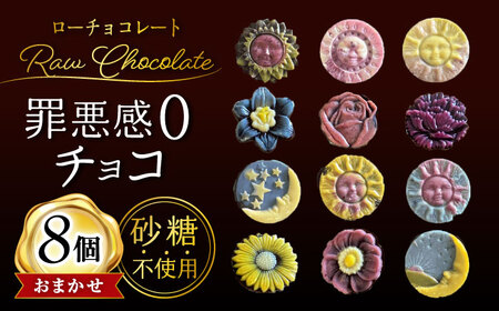 栄養たっぷりローチョコレート8個入り / ローチョコレート チョコ チョコレート ちょこれーと ローカカオ カカオ 砂糖不使用 カロリーオフ 低カロリー スイーツ お菓子 / 大村市 / ROSSO raw sweets [ACBQ001]