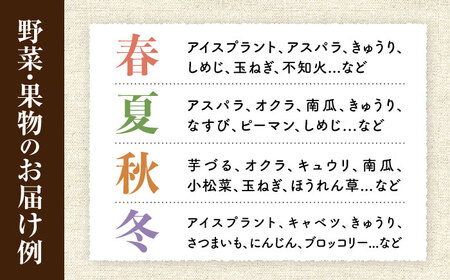 【3回定期便】野菜・果物の詰合せと極みドレッシング200ml×2本 / 野菜 やさい 果物 くだもの フルーツ ふるーつ ドレッシング  / 大村市 / おおむら夢ファームシュシュ [ACAA213]