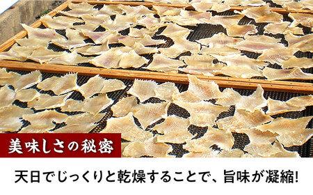 【12回定期便】長崎県産えいひれ 500ｇ / エイヒレ 国産 おつまみ / 大村市 / 株式会社ナガスイ [ACYQ055]