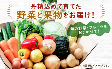【年12回】野菜 果物 定期便 コース 詰合せ