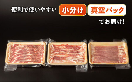 【12回定期便】ナルちゃんファーム豚肉スライスセット 毎月1kg / 豚肉 豚ロース モモ バラ スライス / おおむら夢ファームシュシュ [ACAA338]