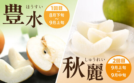 【3回定期便】 朝採り旬の梨 食べ比べ 約5kg/1回 梨定期便 フルーツ定期便 梨 ナシ なし フルーツ 果物 果物定期便 / 大村市 / 産直松吉 [ACZC010]