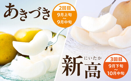 【3回定期便】 朝採り旬の梨 食べ比べ 約5kg/1回 梨定期便 フルーツ定期便 梨 ナシ なし フルーツ 果物 果物定期便 / 大村市 / 産直松吉 [ACZC010]