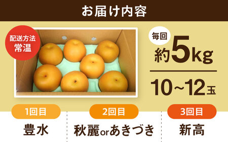 【3回定期便】 朝採り旬の梨 食べ比べ 約5kg/1回 梨定期便 フルーツ定期便 梨 ナシ なし フルーツ 果物 果物定期便 / 大村市 / 産直松吉 [ACZC010]