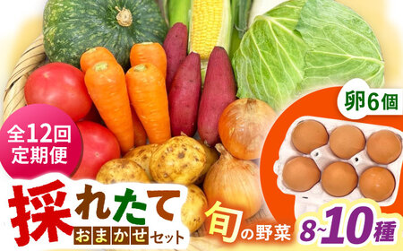 【全12回定期便】採れたてお野菜おまかせ（8～10種）・卵6個セット/ 野菜 やさい 野菜セット 野菜詰め合わせ 詰め合わせ セット たまご 卵 タマゴ 紅たまご こだまさんち / 大村市 / かとりストアー[ACAN138]