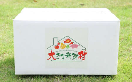 【全12回定期便】採れたてお野菜おまかせ（8～10種）・卵6個セット/ 野菜 やさい 野菜セット 野菜詰め合わせ 詰め合わせ セット たまご 卵 タマゴ 紅たまご こだまさんち / 大村市 / かとりストアー[ACAN138]