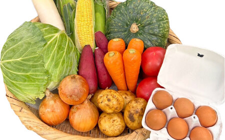 【全12回定期便】採れたてお野菜おまかせ（8～10種）・卵6個セット/ 野菜 やさい 野菜セット 野菜詰め合わせ 詰め合わせ セット たまご 卵 タマゴ 紅たまご こだまさんち / 大村市 / かとりストアー[ACAN138]