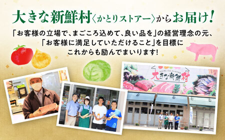 【全12回定期便】採れたてお野菜おまかせ（8～10種）・卵6個セット/ 野菜 やさい 野菜セット 野菜詰め合わせ 詰め合わせ セット たまご 卵 タマゴ 紅たまご こだまさんち / 大村市 / かとりストアー[ACAN138]