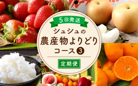 5回定期便 シュシュの農産物よりどりコース 長崎県大村市 ふるさと納税サイト ふるなび