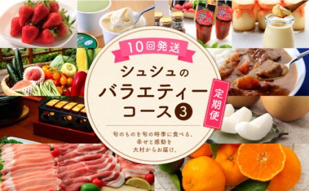 【10回定期便】シュシュのバラエティーコース③