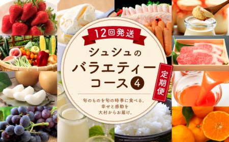 【12回定期便】シュシュのバラエティーコース④
