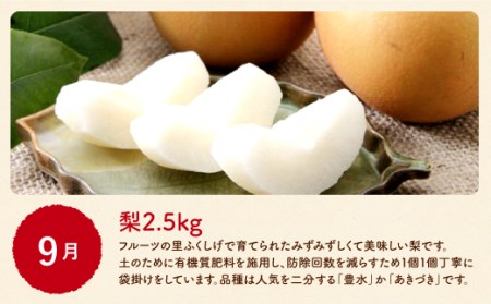 5回定期便 シュシュの農産物よりどりコース 長崎県大村市 ふるさと納税サイト ふるなび