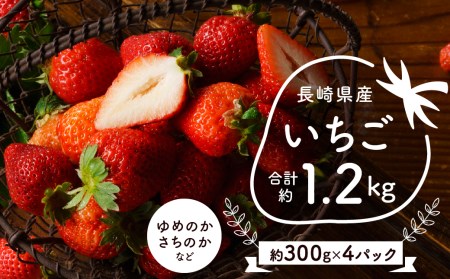 大村産 ゆめのか さちのか など 在庫あり 即出荷可 いちご1箱 約300g 4パック 合計1 2kg
